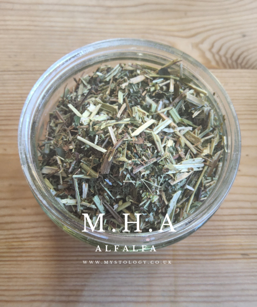Alfalfa