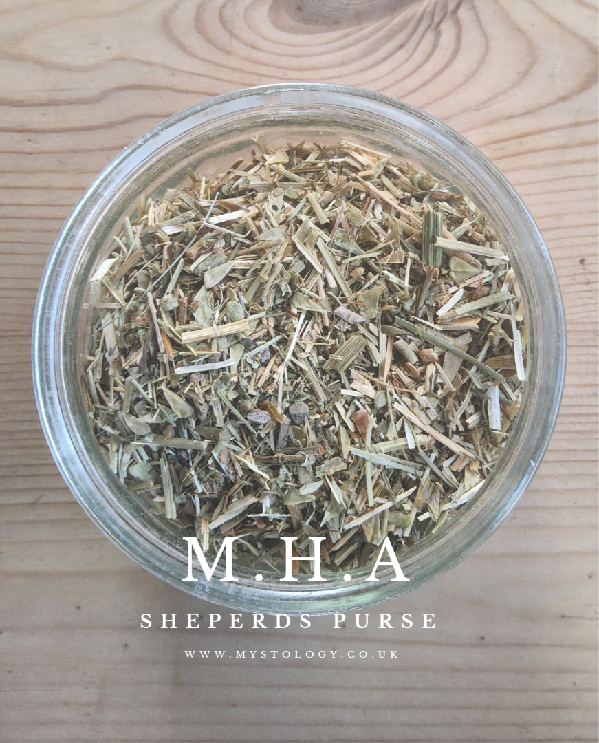 Shepherds Purse