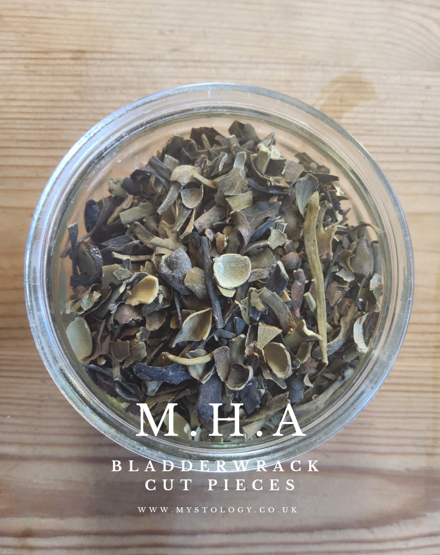 Bladderwrack
