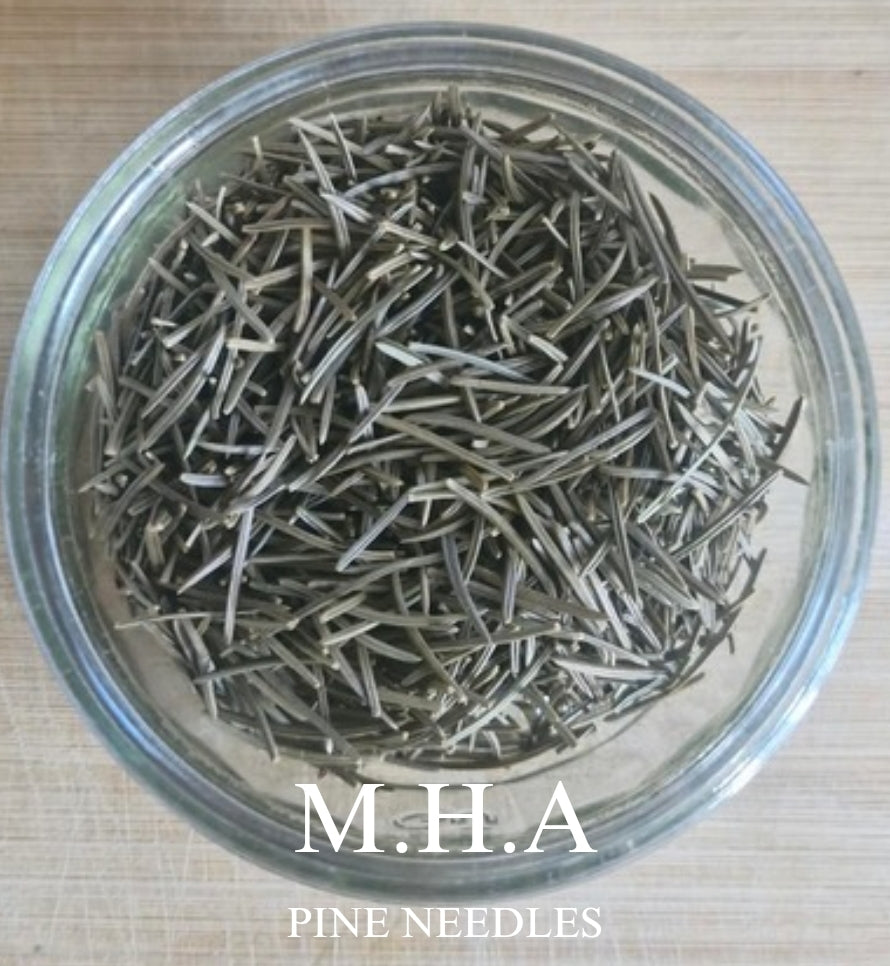 Pine Needles