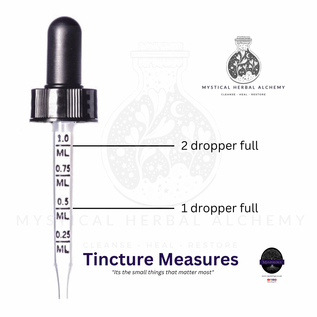 Mind Maintenance - Tincture