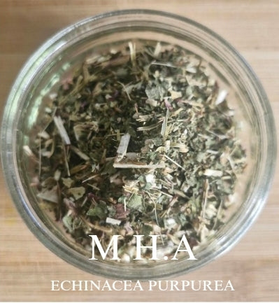 Echinacea Purpurea