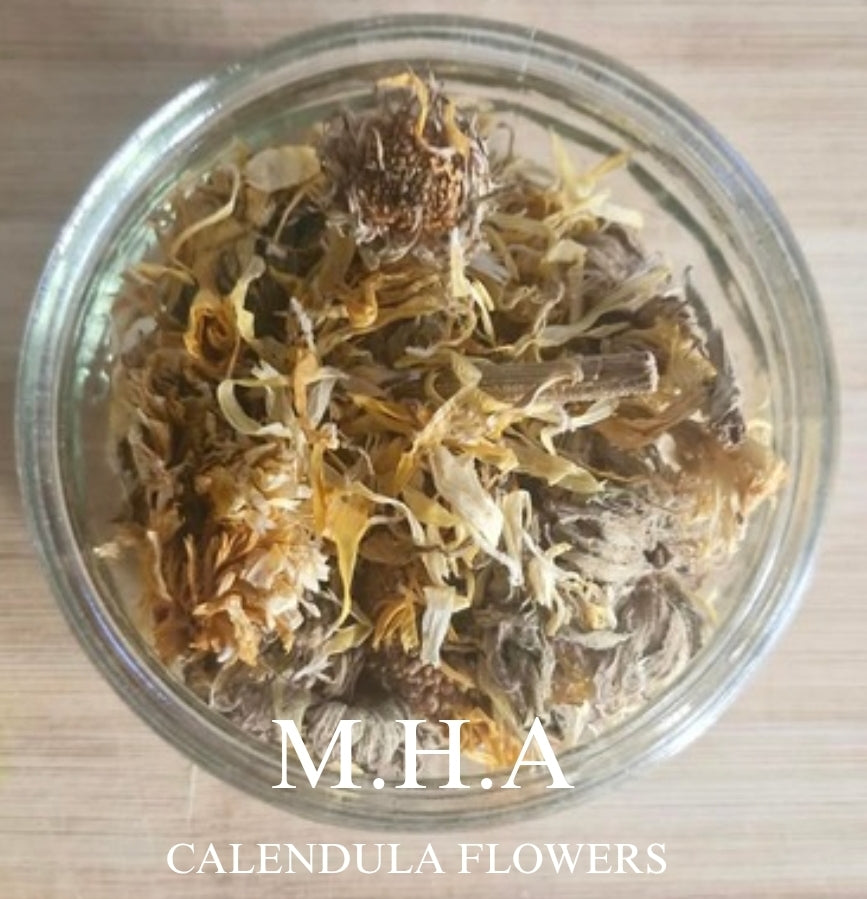 Calendula Flowers